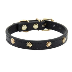Designers Leather Cat Collar Gold Rivet Kitten Necklace for Cats Small Dog Puppy Accessories Pet Supplies Chihuahua 1.3 CM Width