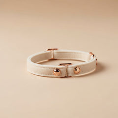 Classic Leather Collar